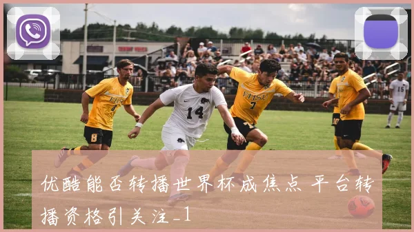 优酷能否转播世界杯成焦点 平台转播资格引关注_1