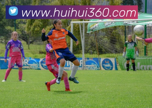 开云kaiyun网页版APP 高清赛事图